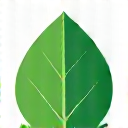 Green Leaf Icon
